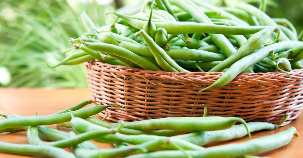 Fresh picked green beans, a great substitute for asparagus, in a wicker basket on a table outside.