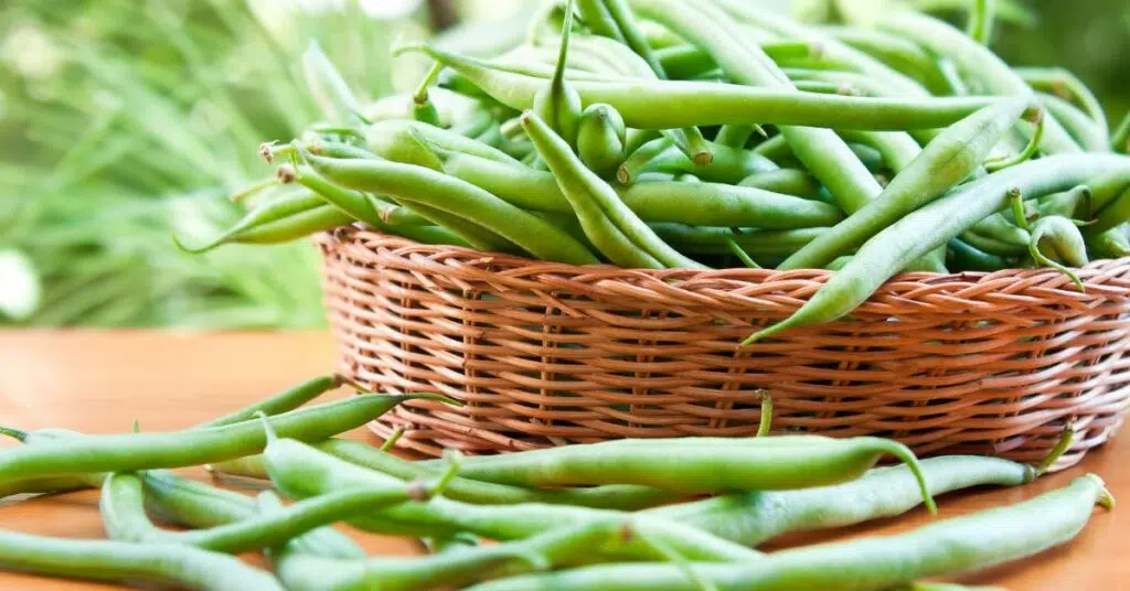15 Best Substitutes for Asparagus