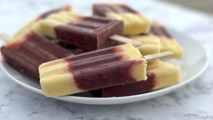 14 Sugar Free Popsicle Recipes
