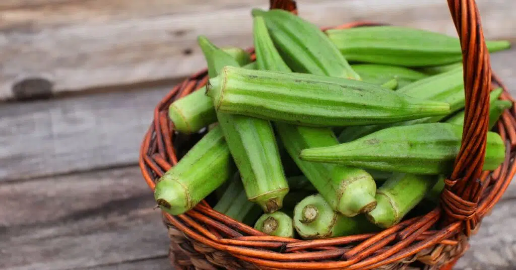 15 Best Substitutes for Asparagus