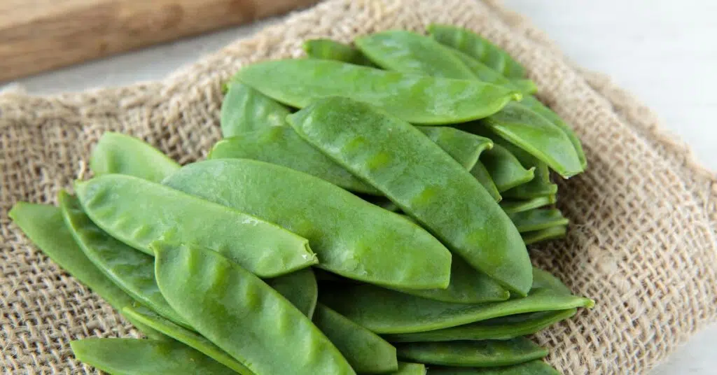 15 Best Substitutes for Asparagus