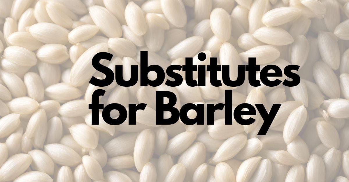 16 Of The Best Substitutes For Barley
