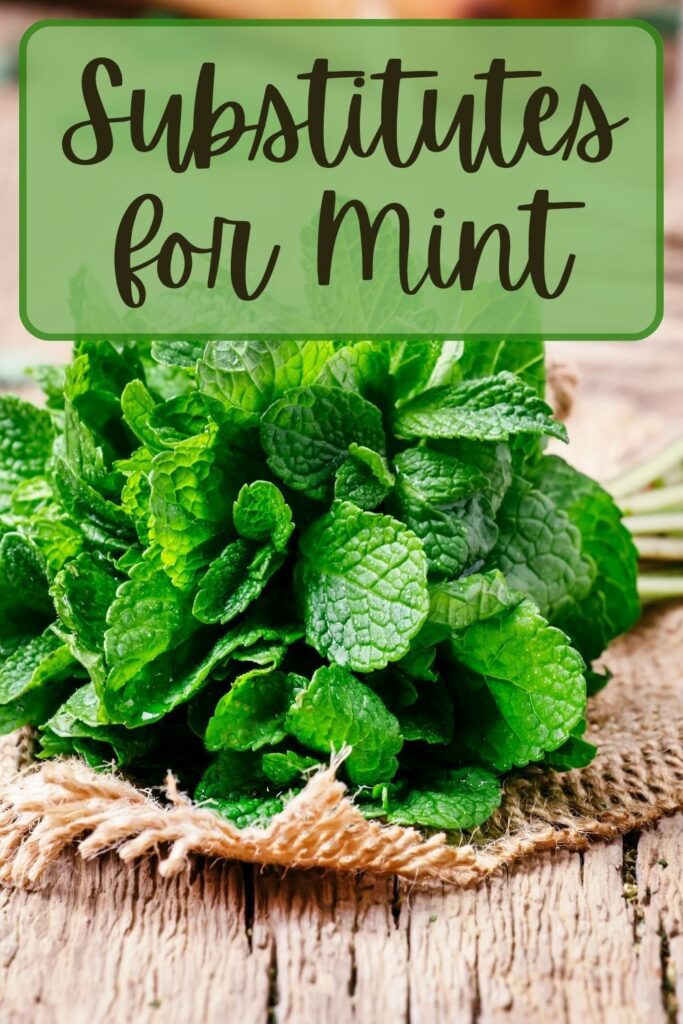 The Best Substitutes for Mint (Includes Fresh, Dried and Mint Extract) -  MAY EIGHTY FIVE