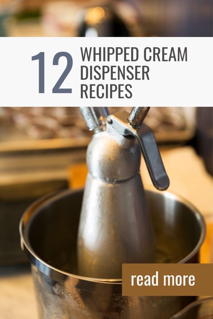 Whipped Cream dispenser Recipes Pin 1.