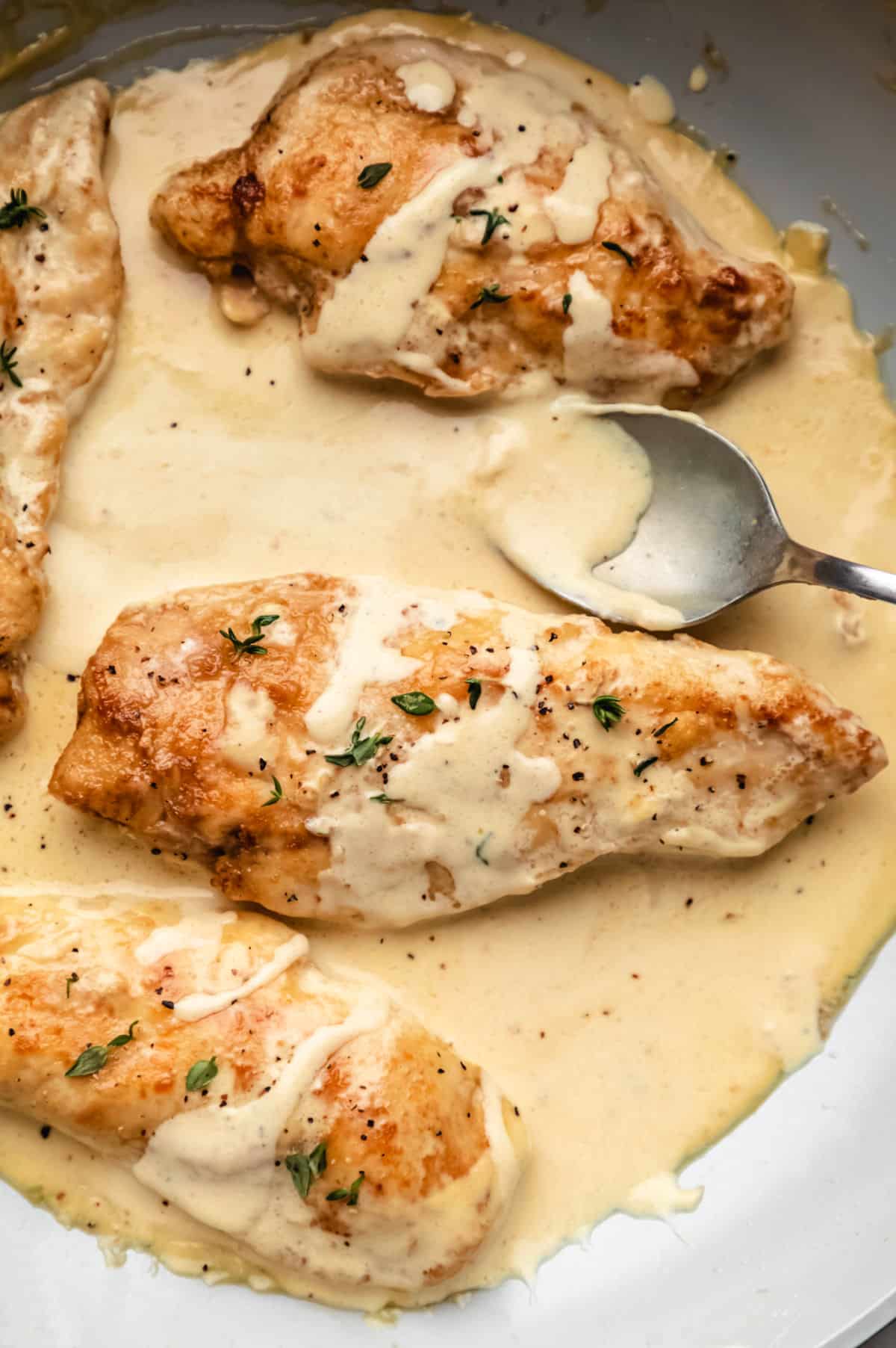 A white dish filled with creamy mustard chicken and a spoon.