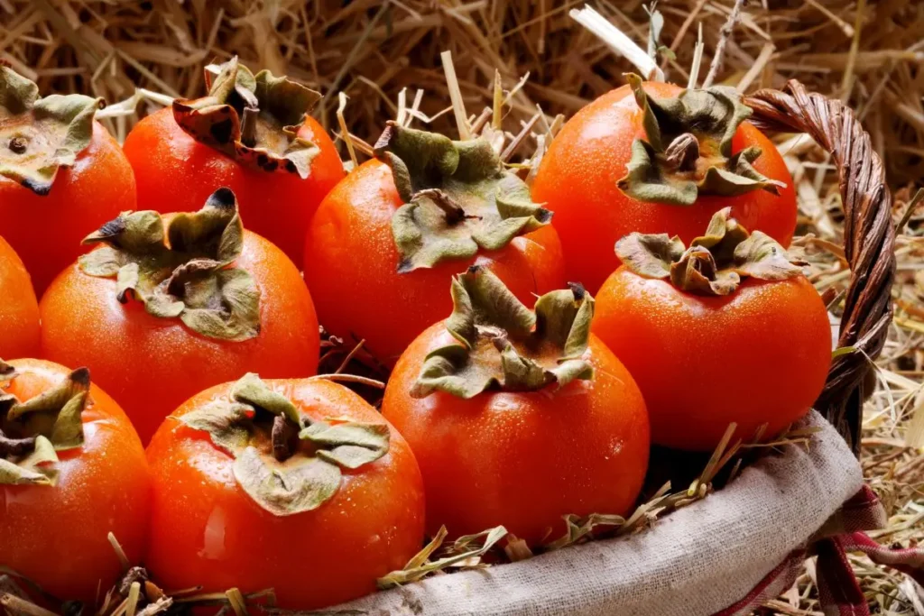 A group of plump, orange persimmons in a basket, their smooth skin glistening under soft light. Persimmons, available in varieties like Fuyu and Hachiya, are an important November seasonal produce. 