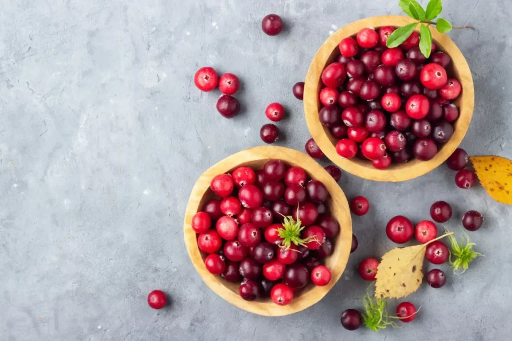 Two wooden bowls filled with deep red cranberries placed on a gray backdrop. Cranberries are one of the most iconic fruits of fall and November seasonal produce, used widely in sauces, holiday dishes, and baked goods. 