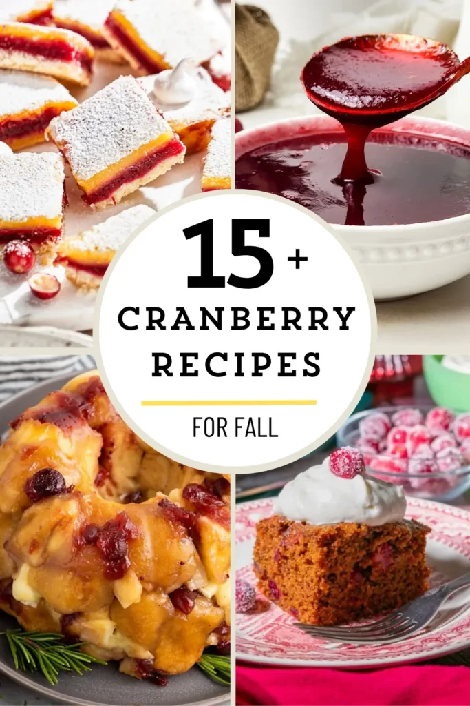 Delicious cranberry recipes showcased for Thanksgiving and Christmas
