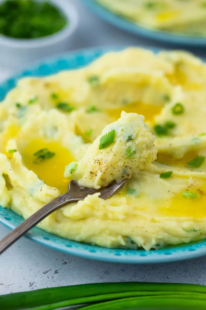 A bowl of Irish Champ with a fork full.