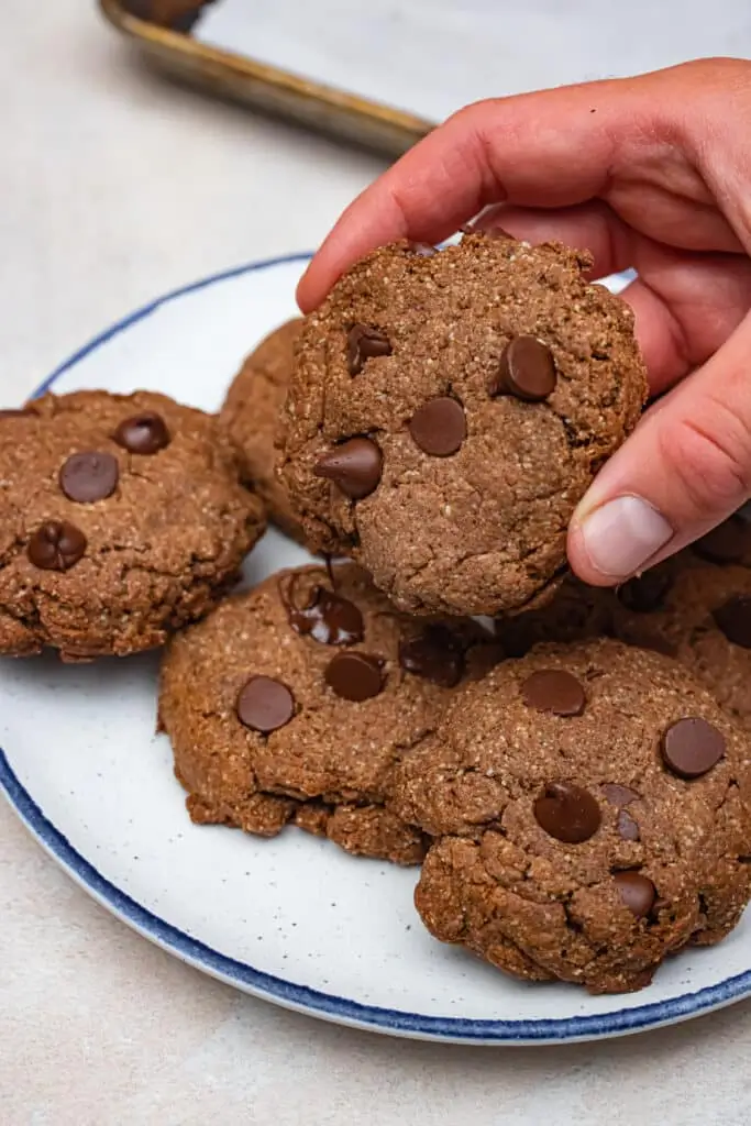 Freshly baked Vegan Protein Cookies made with almond flour recipes easy, featuring rich chocolate chips and a chewy texture. A perfect option for those seeking low sugar and healthy almond flour recipes. These cookies are a great addition to any collection of good almond flour recipes.