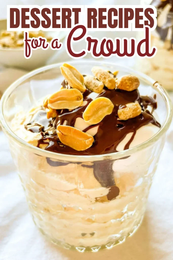 Peanut hot fudge sundae in a glass cup with vanilla ice cream, chocolate sauce, and peanuts; dessert for a crowd