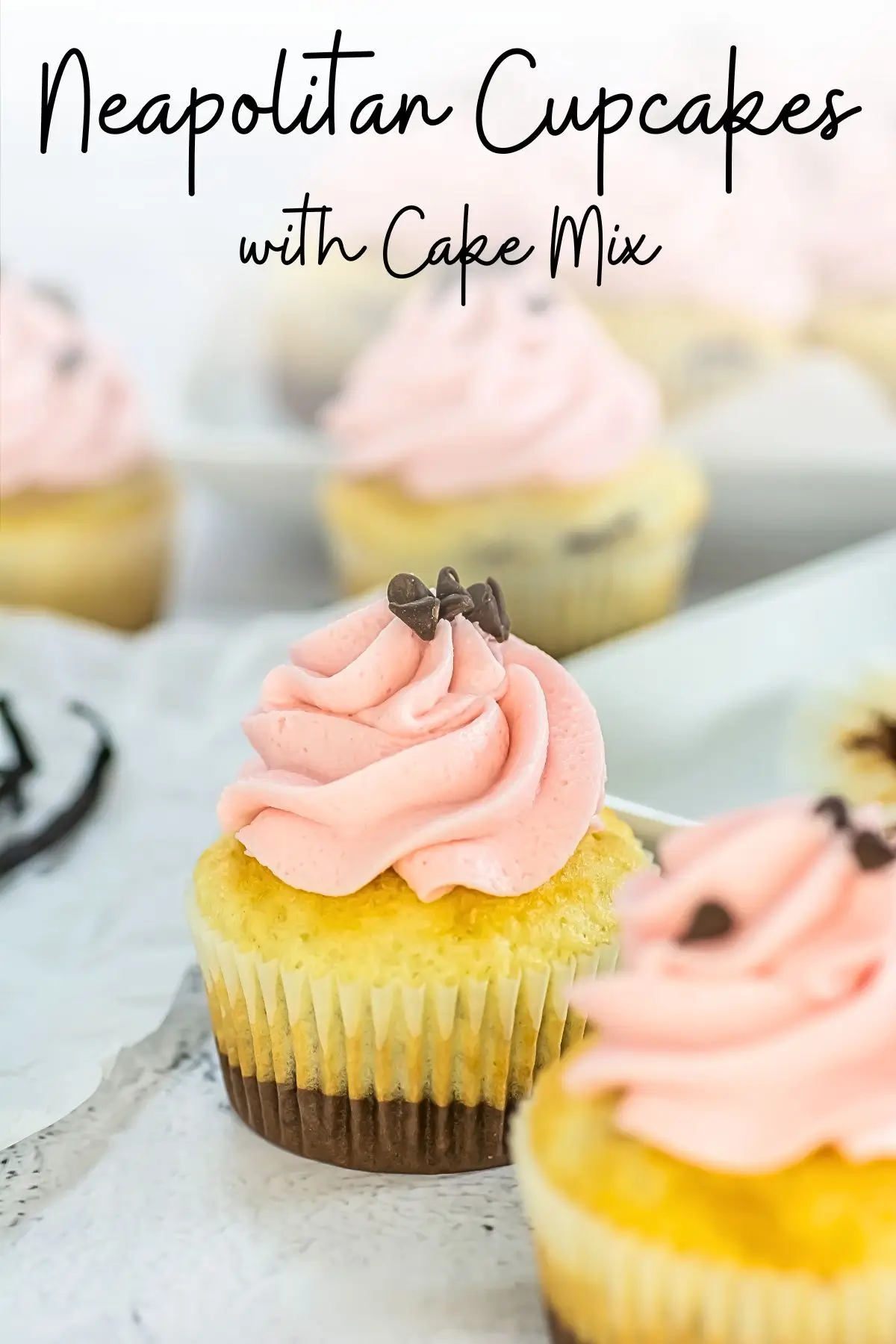 Close-up of a Neapolitan cupcake with cake mix, layered with chocolate and vanilla and topped with pink strawberry frosting and mini chocolate chips 
