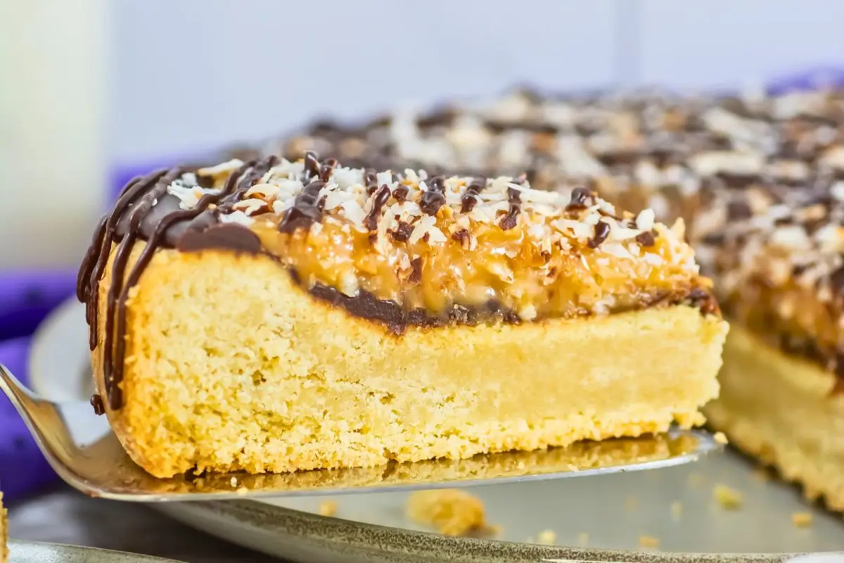 Chocolate and Caramel Samoa Cookie Cake piece of samoa cookie cake