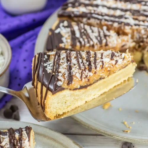 Chocolate and Caramel Samoa Cookie Cake chocolate and caramel cake