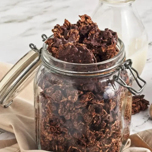 Homemade Chocolate Granola with Coconut