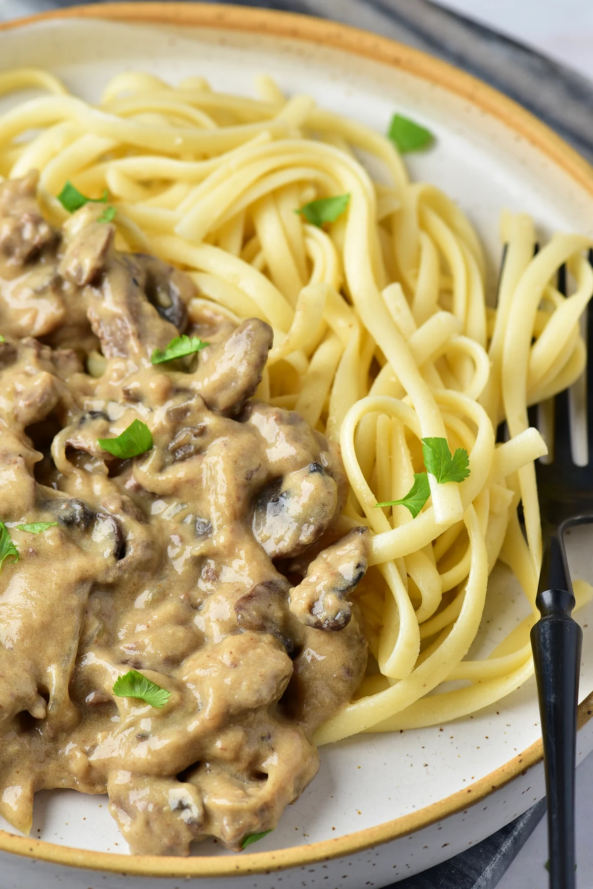 Close up of creamy venison stroganoff with egg noodles