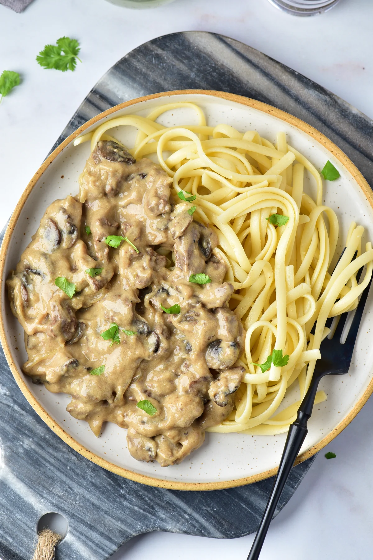 Overhead bowl of venison stroganoff with noodles