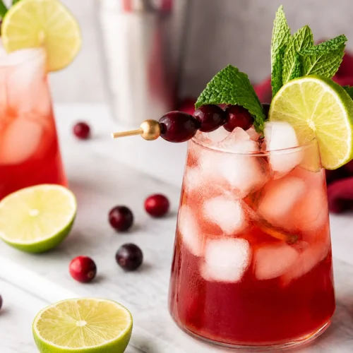 Sparkling cranberry lime mocktail with ice, fresh cranberries, lime slices, and mint.