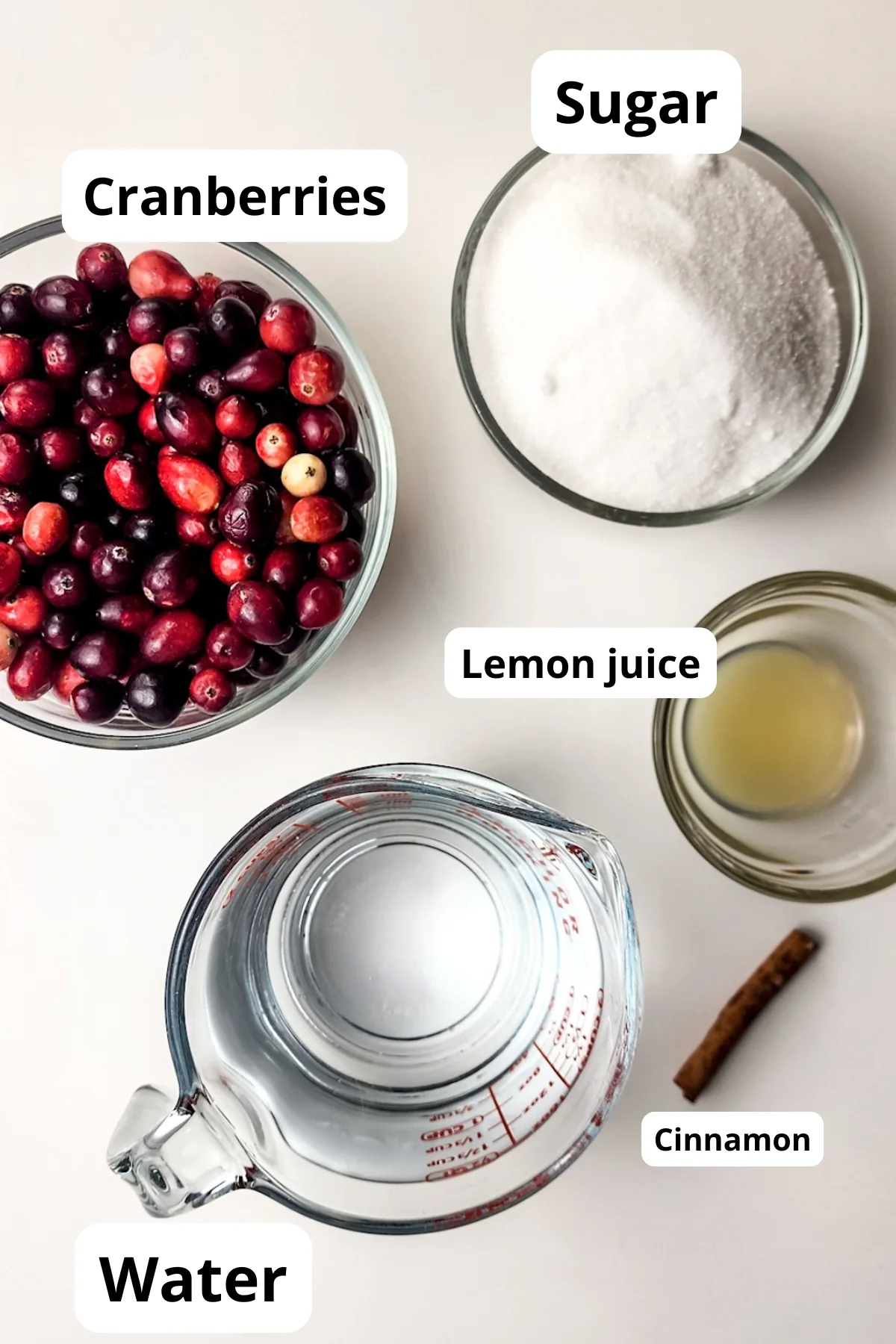 Cranberries, sugar, lemon juice, water, and a cinnamon stick arranged for cranberry sauce.